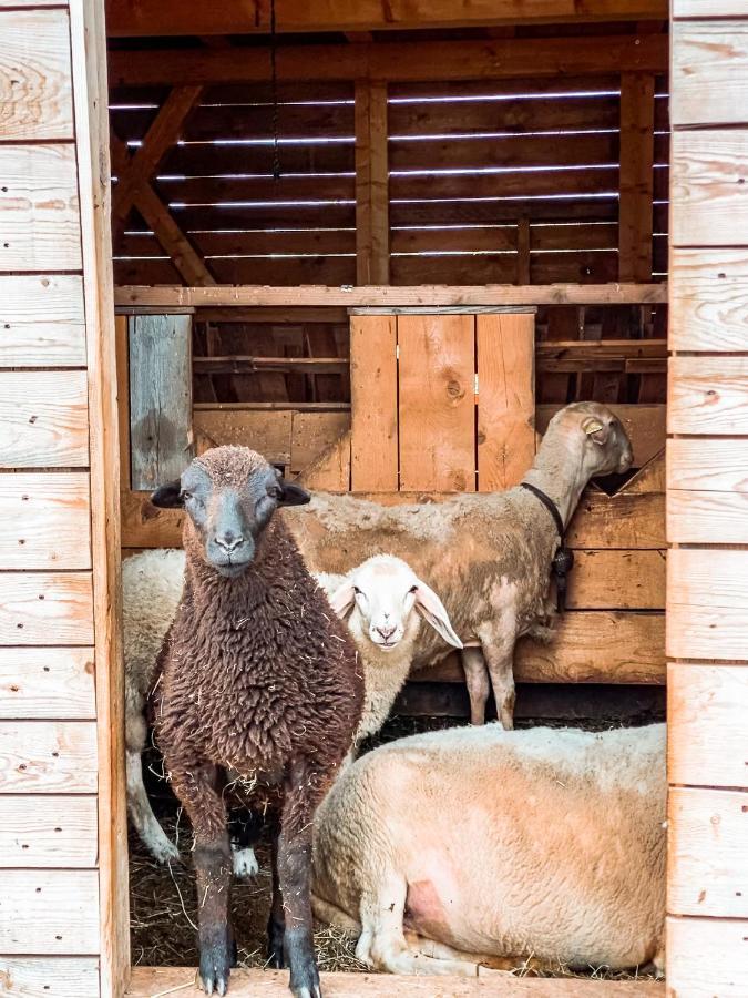Agriturismo Dal Perotin กัลโดนัซโซ ภายนอก รูปภาพ