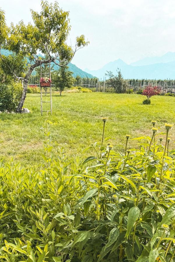 Agriturismo Dal Perotin กัลโดนัซโซ ภายนอก รูปภาพ